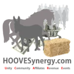 HOOVESynergy