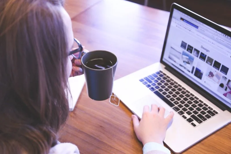 JOBSynergy, STUDENTSynergy