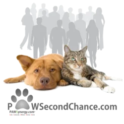 PAWSecondChance