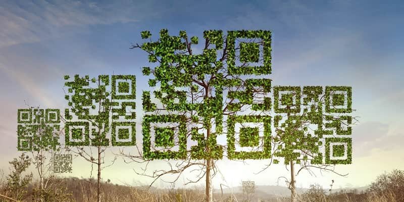 QR trees